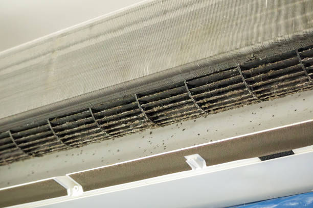 Best Ventilation Cleaning Services  in Greenville, MS