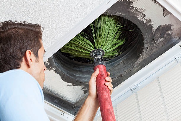 Best Duct Cleaning for Homes  in Greenville, MS